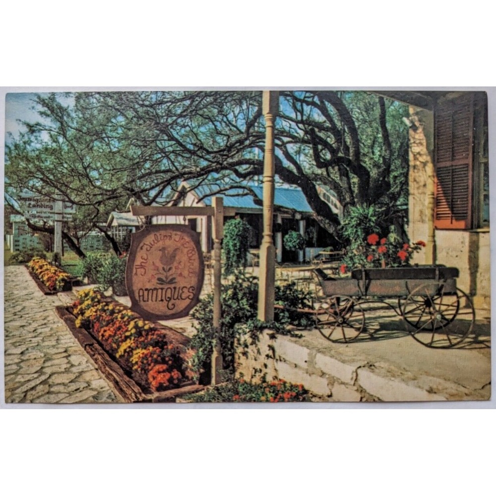 Fredericksburg TX-Texas, The Tulip & The Bird Antique Store, Vintage‎ Postcard